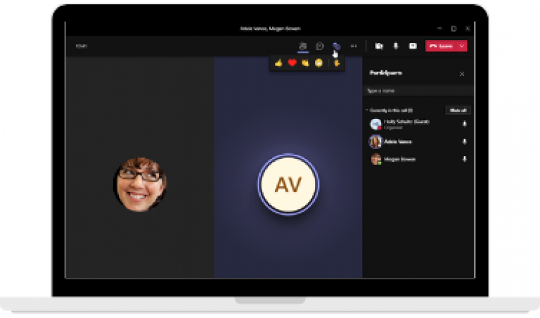 Microsoft Teams Calls - 365 Architechs